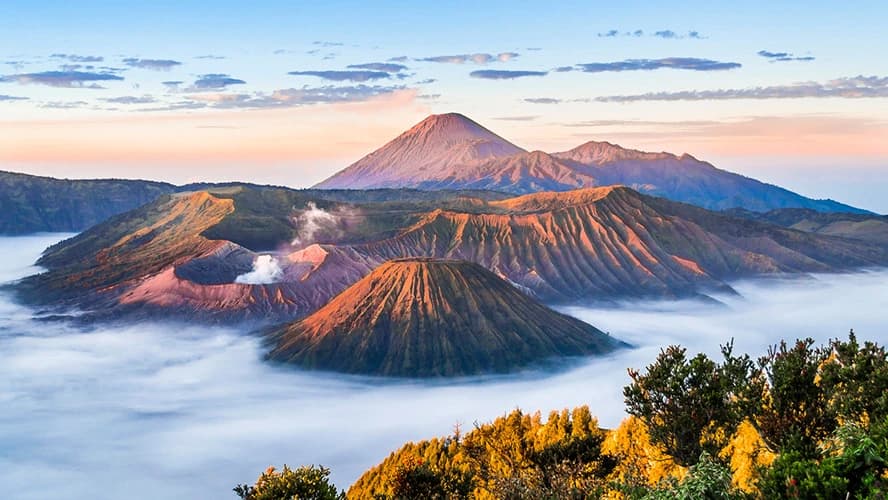 Bromo