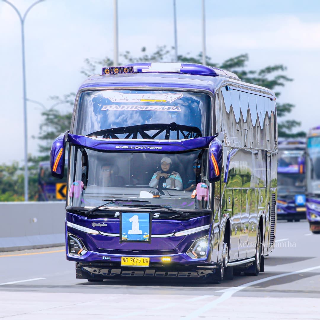 PHD Trans Luxury Bus 3