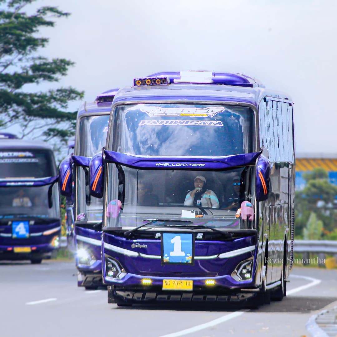 PHD Trans Luxury Bus 2
