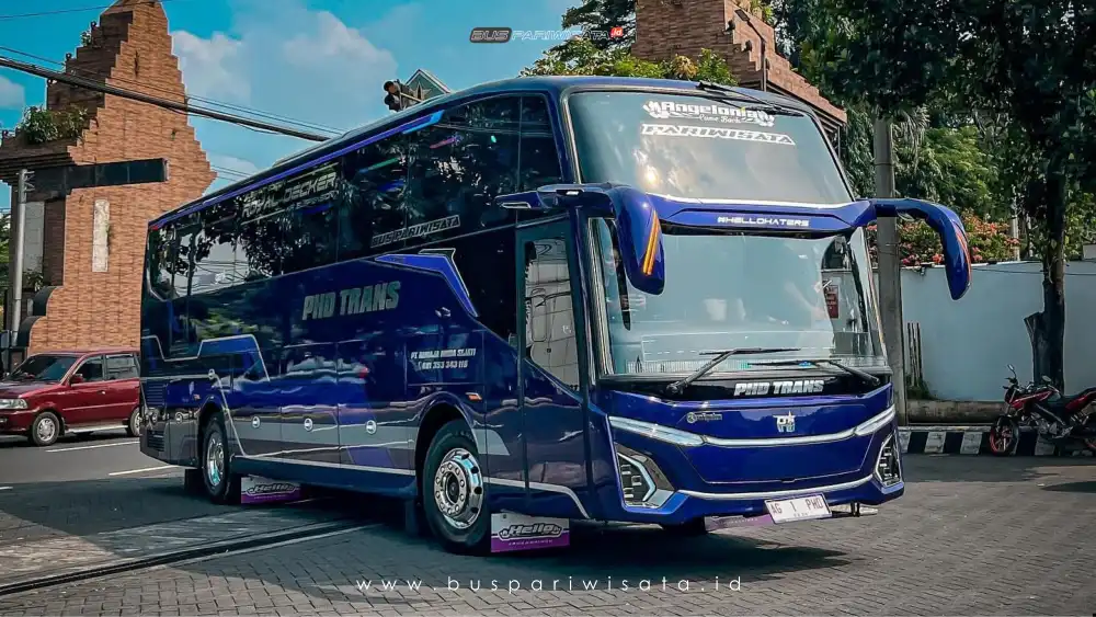 PHD Trans Premium Bus